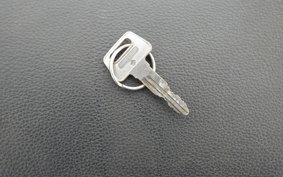SUZUKI DJEBEL 200 (DR200SE) SH42A