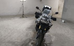 TRIUMPH TIGER 800 2014 TRE15B