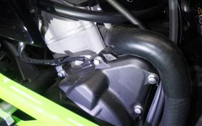 KAWASAKI ZX-4RR 2025 ZX400P
