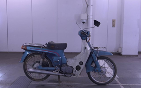 SUZUKI BIRDIE50