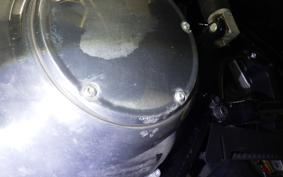 HARLEY FXST1750 2024