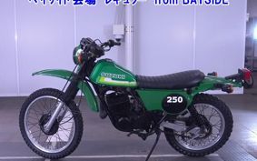 SUZUKI TS250 TS2504