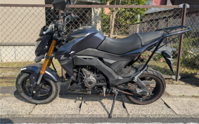 KAWASAKI Z125 PRO BR125H