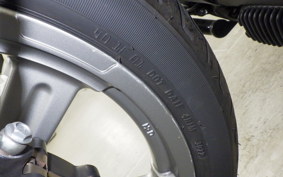 HARLEY FXST1750 2023