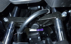 YAMAHA X-MAX 250 2006 SG70J