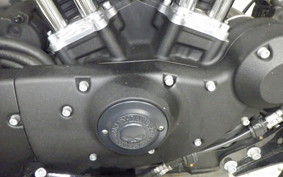 HARLEY XL883N 2019