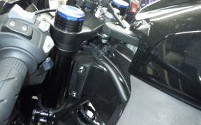 HONDA CBR600RR 2024