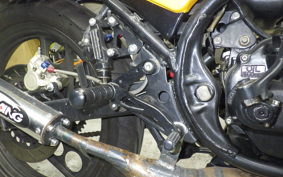 YAMAHA RZ250R 2021 29L