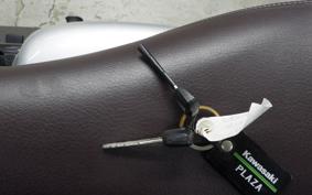 KAWASAKI W800 CAFE 2020 EJ800B