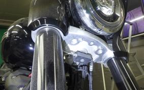HARLEY FLSB 1750 2019