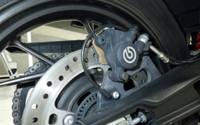 TRIUMPH TIGER 900 GT PRO