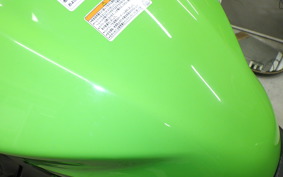 KAWASAKI NINJA 250 2019 EX250Y