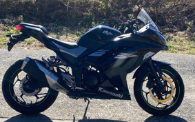 KAWASAKI NINJA 250 EX250L