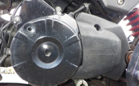 HONDA ｸﾞﾛﾑ JC75