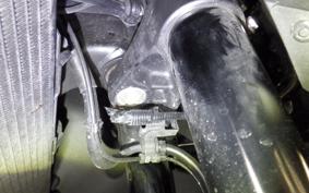 HONDA NT1100 2024 SC84