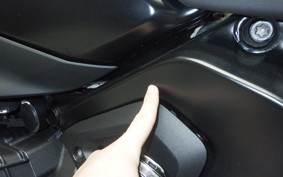 BMW R1300GS 2025