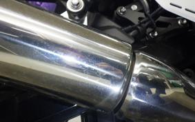 KAWASAKI Z900RS 2020 ZR900C