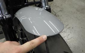 HARLEY FXBR1920 2024