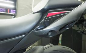 KAWASAKI NINJA 1000SX 2024 ZXT02K