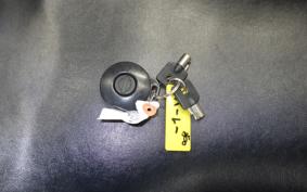 HARLEY FLHRS 1450 2005