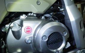 HONDA CT125 HUNTER CUB JA55