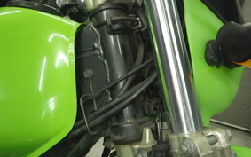 KAWASAKI SUPER SHERPA 2023 KL250G