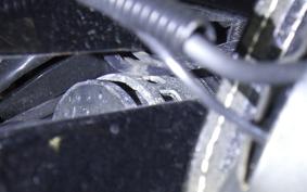 HARLEY FXST1750 2024