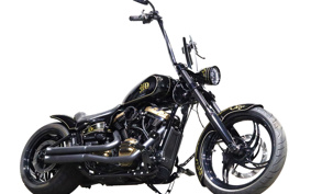 HARLEY FXBRS 2021 YHK