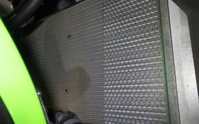 KAWASAKI ZX-4RR 2024 ZX400P