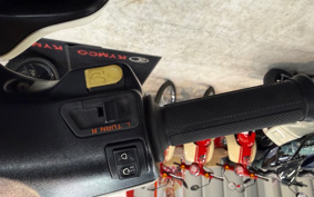 HONDA DIO AF35