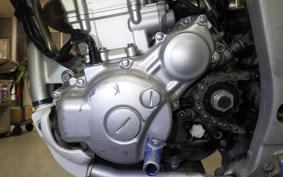 YAMAHA WR250R 2025 DG15J