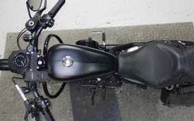 HARLEY XL883N 2020