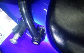 HONDA CBR1100XX 2000
