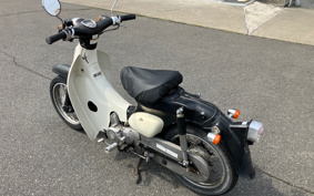 HONDA LITTLE CUB AA01