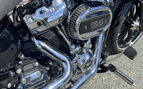 HARLEY  HARLEY FXBRS 2019 YHK