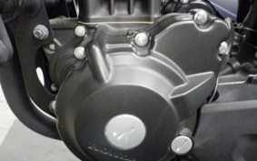 HONDA REBEL 250 2024 MC49