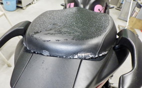 SUZUKI ｼﾞｸｻｰ250SF