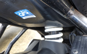 SUZUKI GIXXER 250