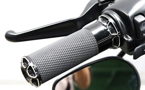 HARLEY XL1200X 2021 LC3