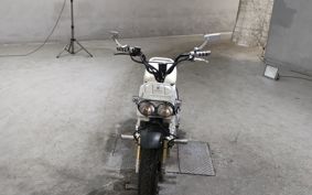 HONDA ZUMAR AF58