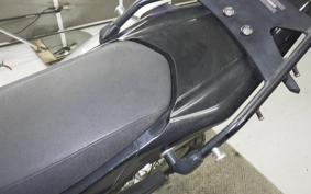 YAMAHA WR250R 2024 DG15J