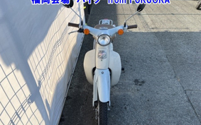 OTHER  LITTLE CUB -E FI