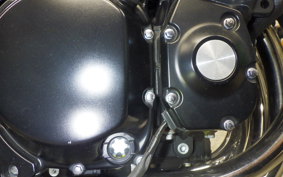 KAWASAKI Z900RS 2019 ZR900C