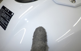 BMW S1000RR M DDC 2025