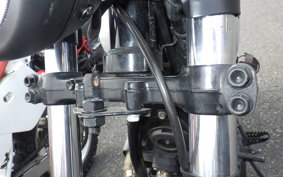 YAMAHA TT250R RAID 4GY
