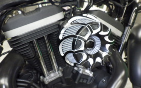 HARLEY XL883N 2009