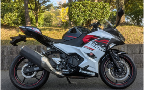 KAWASAKI NINJA 400 2020 EX400G