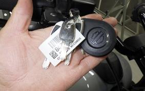 HARLEY FXLRST1920 2025