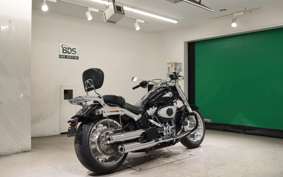 HARLEY FLFB1920 2025