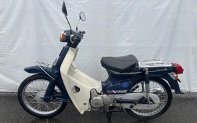 HONDA C90